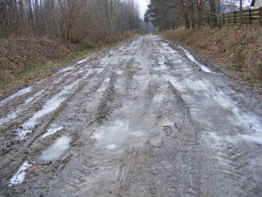 Droga w Jagodniku na czerwony szlak