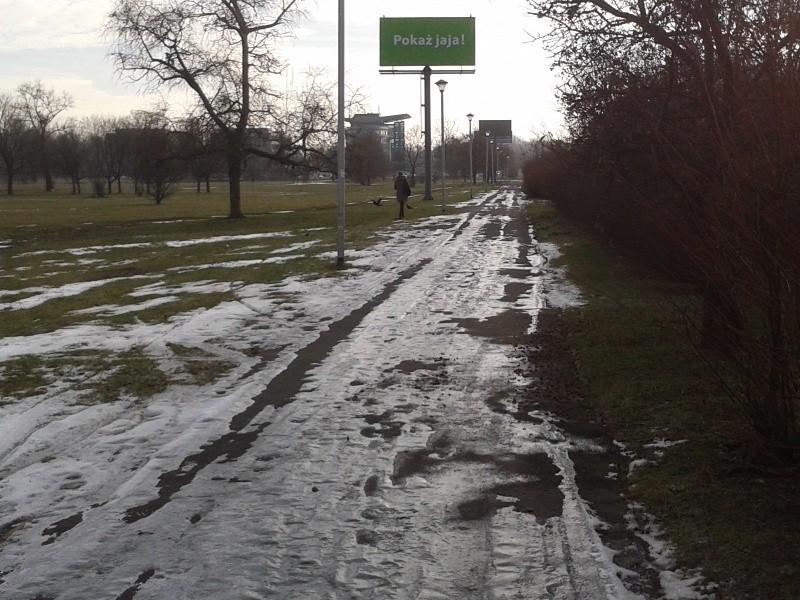 Czy przez swój upadek na rowerze pokazałem jaja?