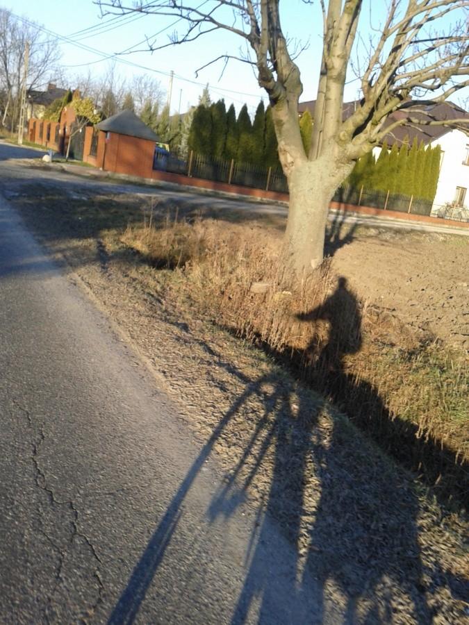 I znowu ta baba, dziś nieco z przodu :)