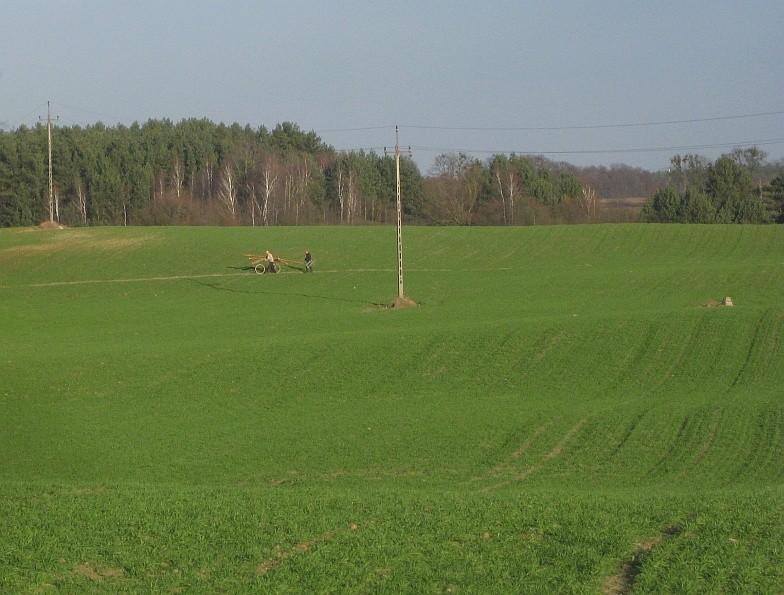 Rejowiec - rowerem można wieść nawet kłody drewniane :-)