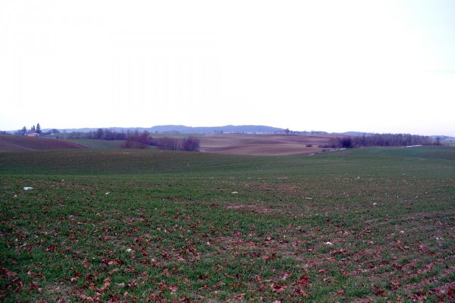 Zimowe pola na Kociewiu