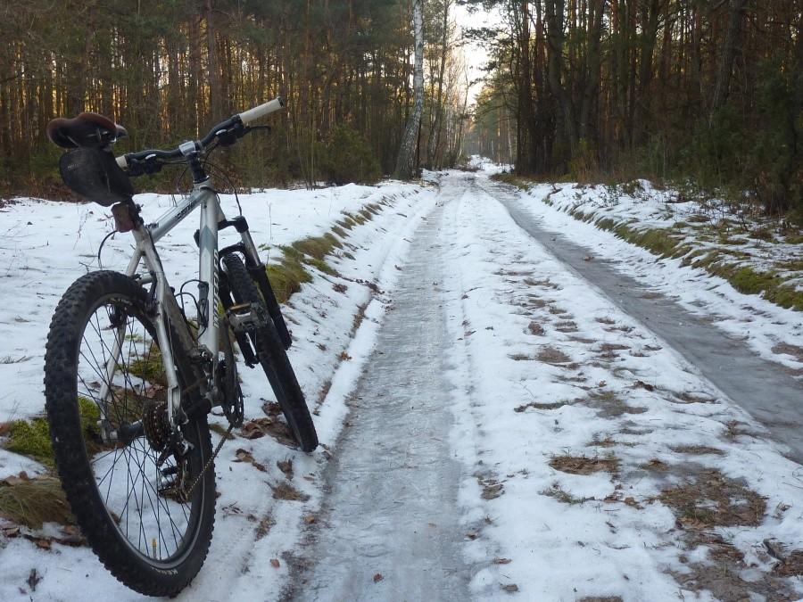 Przejezdność leśnej drogi w okolicach Mariewa
