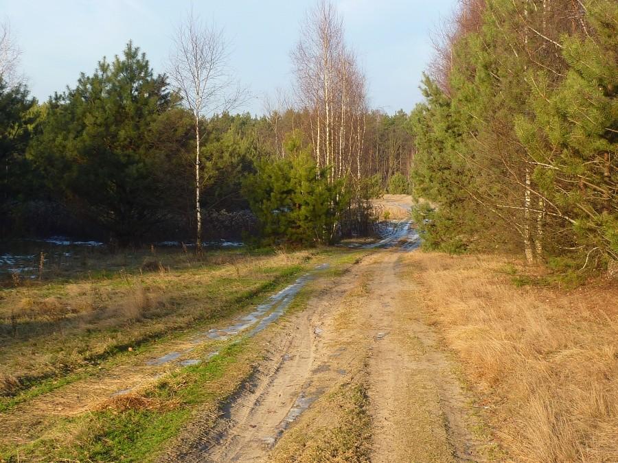 Czterokołowcy wypłoszyli całą dziką zwierzynę i w "moim mateczniku" było dzisiaj pusto.