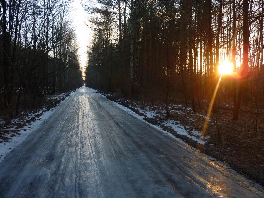 Pokryta lodem droga Truskaw-Palmiry