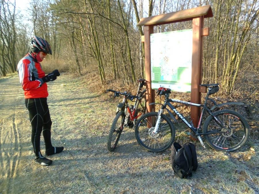 Jaworzno: Postój na Sosinie