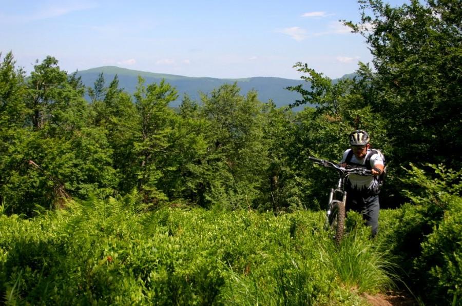 Paportna, Bieszczady
