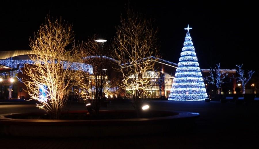 Magnolia Park nocą