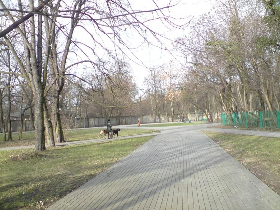 Park na Zdrowiu