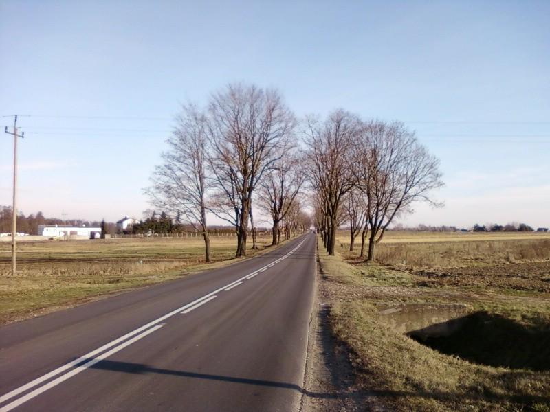 Szosa na Wolę Rakową