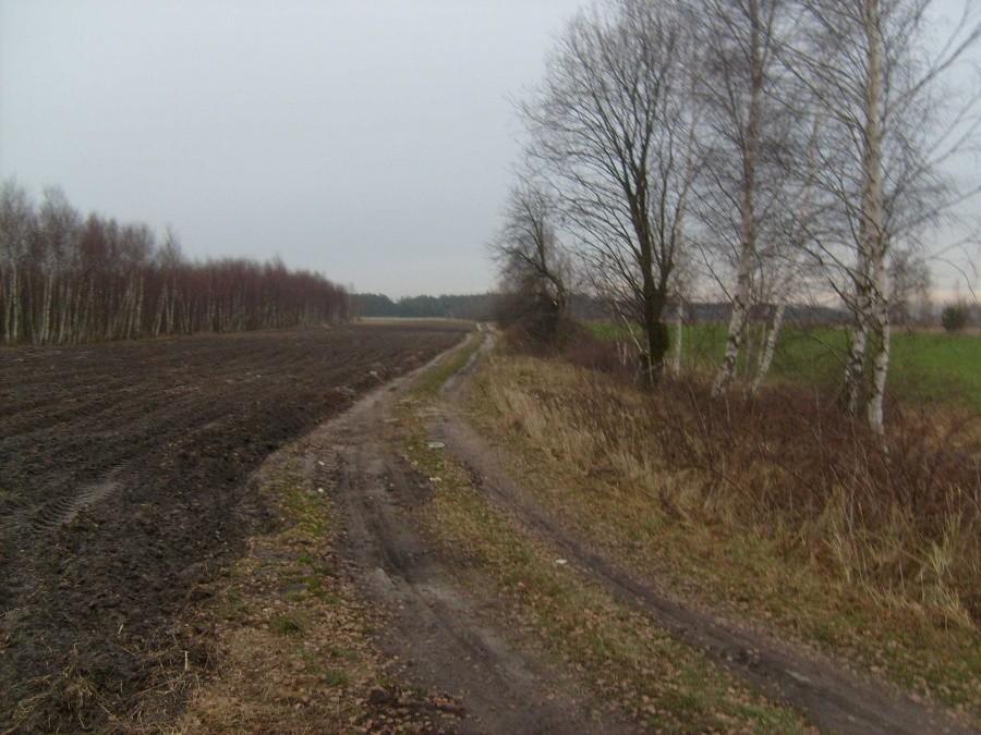 Polna droga na Zbiersk