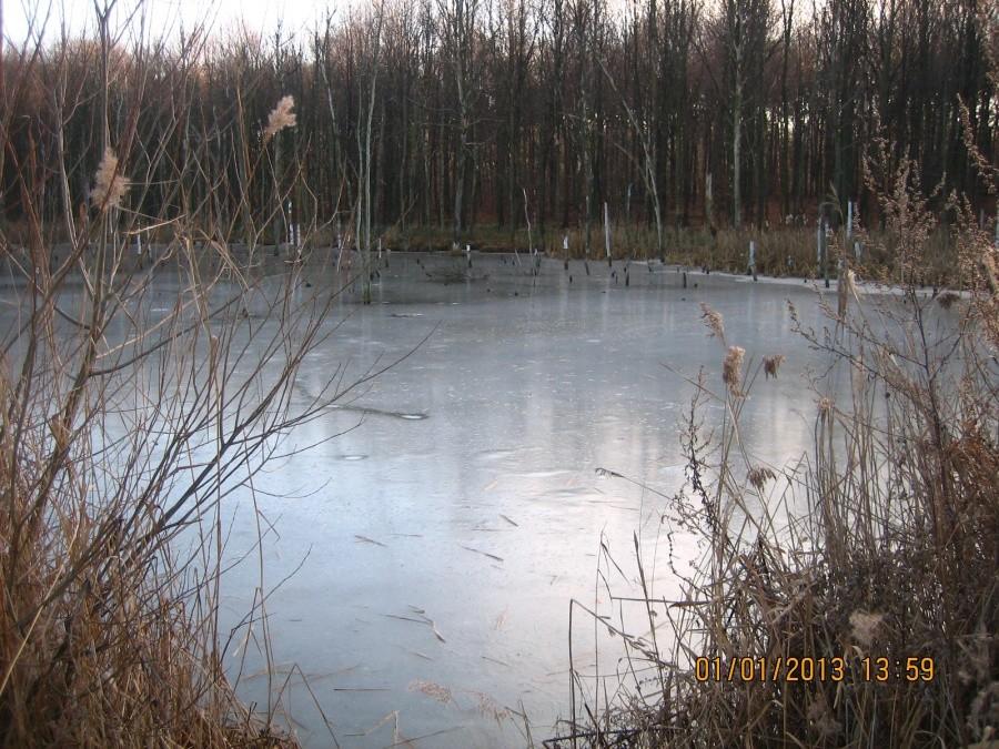 zalane zapadlisko górnicze w Makoszowach 2