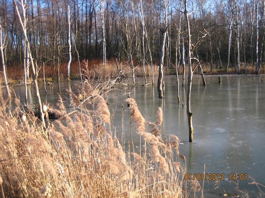 zalane zapadlisko górnicze w Makoszowach 3