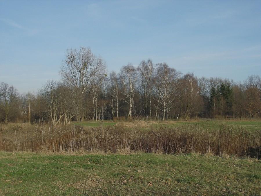 Skarpa Ursynowska