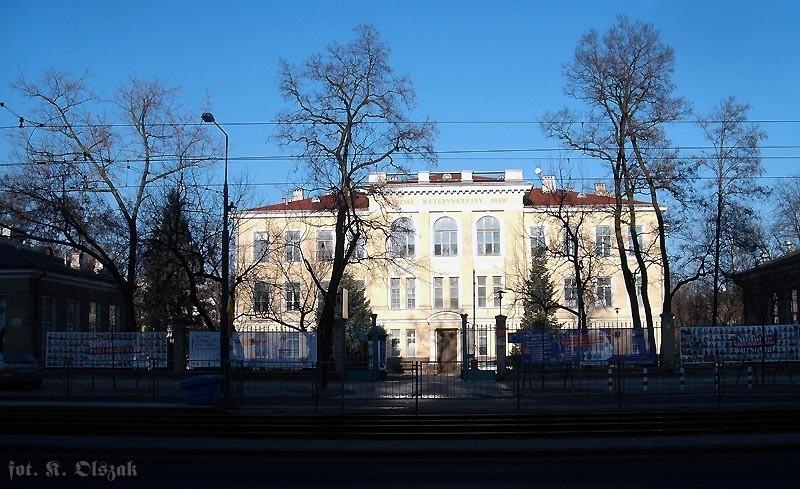 Królestwo Weterynarzy (2)