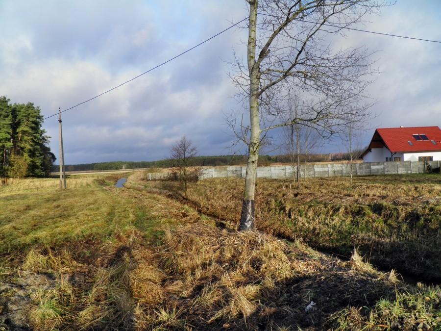 Między Sławoszewem a Grzepnicą.
