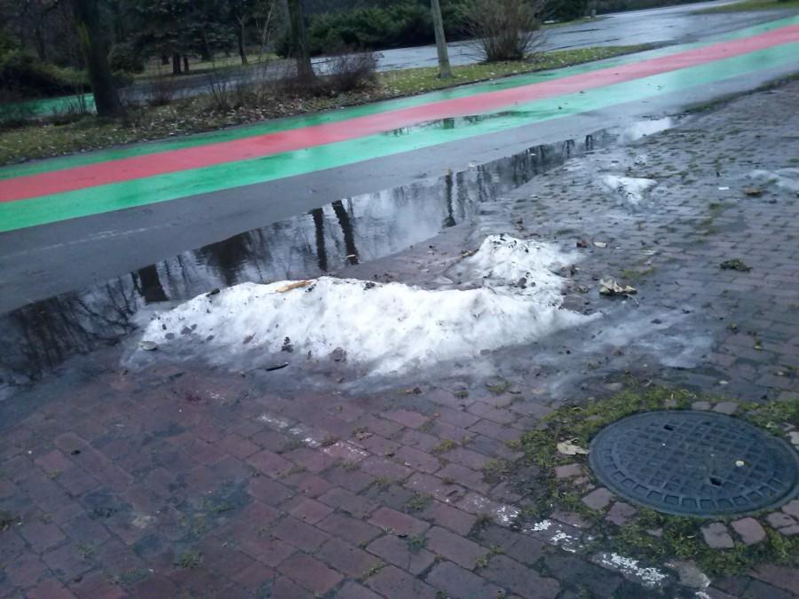 Resztki śniegu w parku i dużo wody...