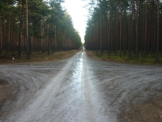 Miejscami ścieżki leśne były solidnie oblodzone