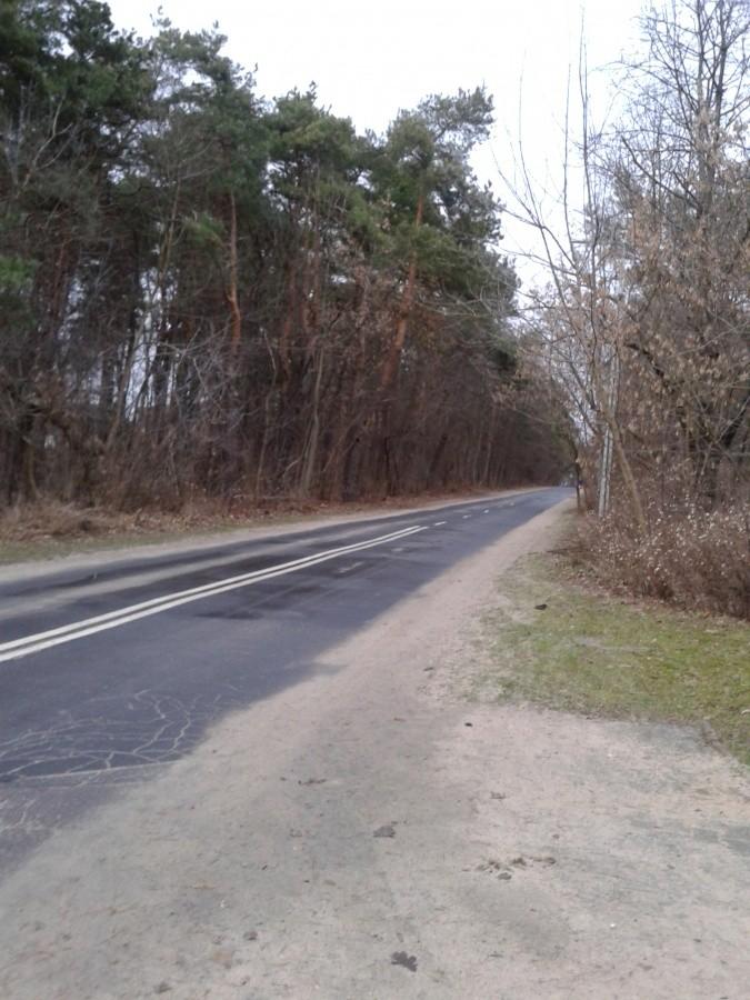 Ulica Kaliskiego prowadzi do lotniska