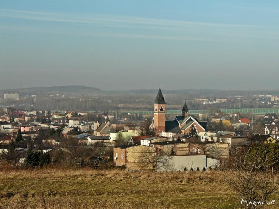 Bobrowniki z nowej perspektywy