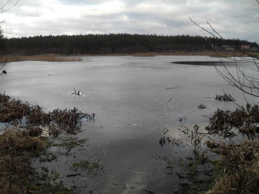 zamarznięty