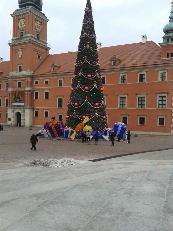 Choinka przed Zamkiem Królewskim