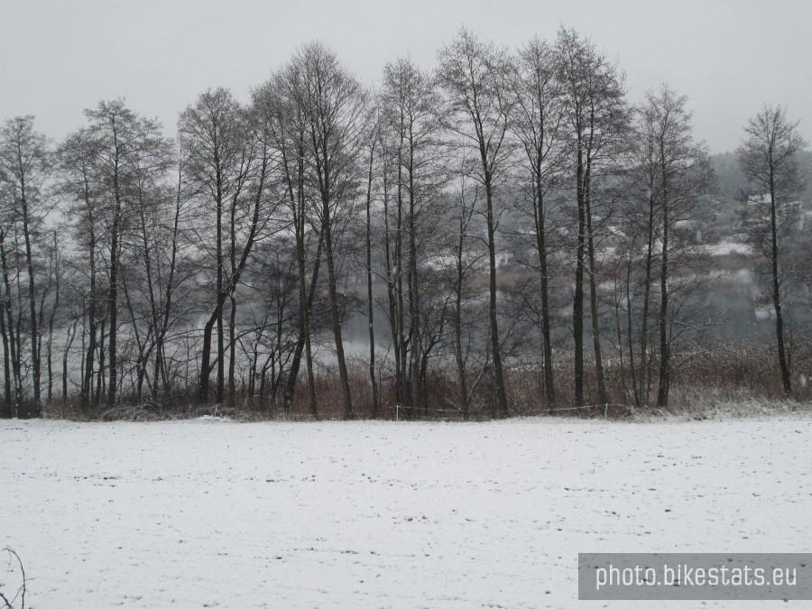 Widok na Jezioro Trzebno w okolicach Ostrzyc