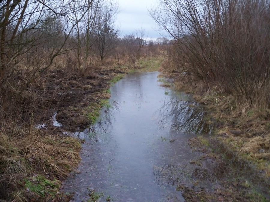 TERKAWKA- SKRÓT TERENOWO WODNY DO UL. DĄBROWSKIEGO
