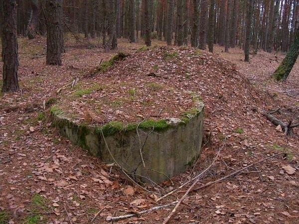 Ruiny w lesie, pewnie fragment fortu w Cybulicach, ewentualnie to zwykły gruz :)