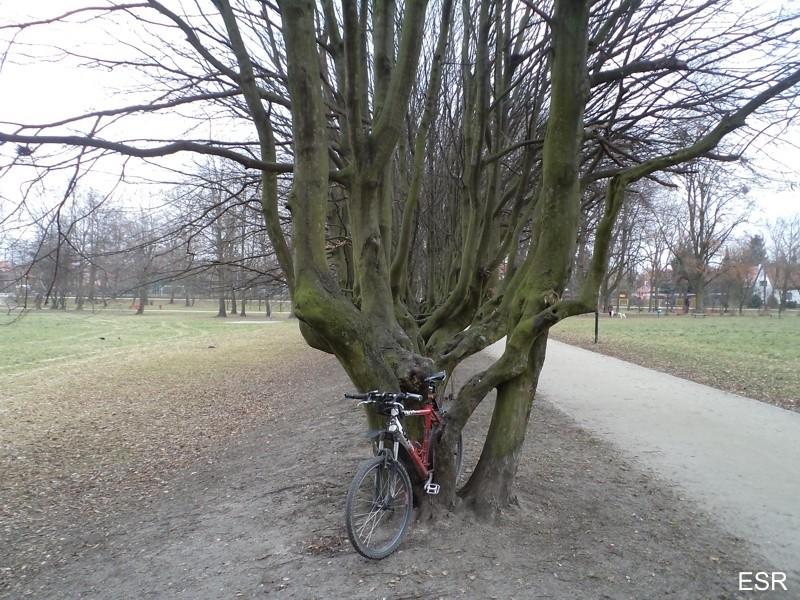 Park Kajki
