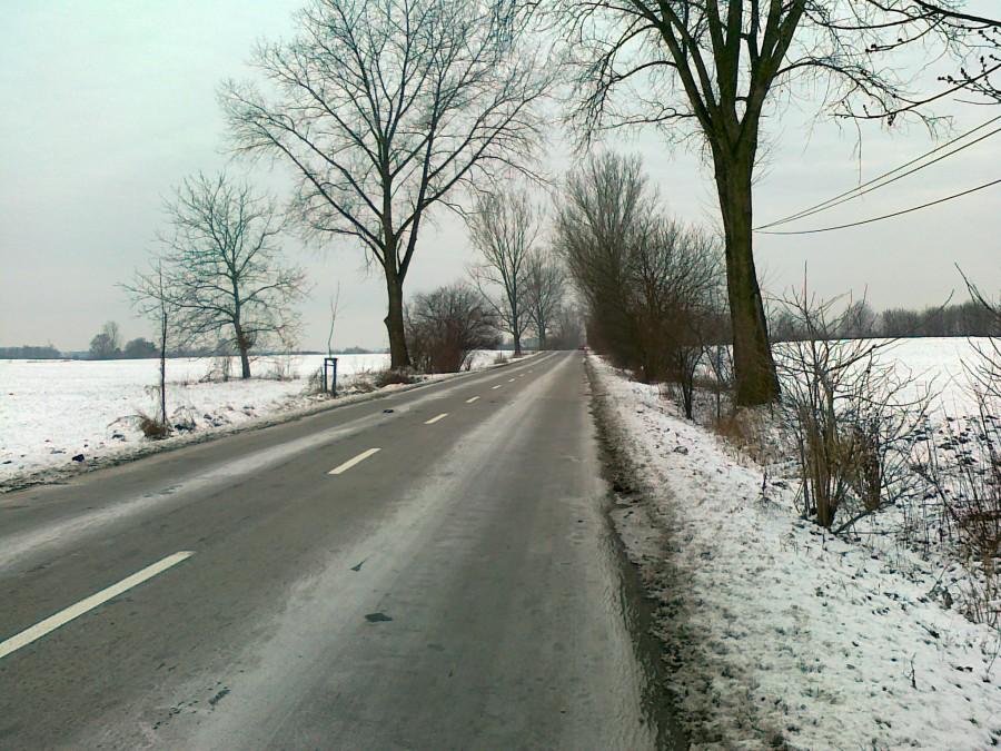 Przyszła zima