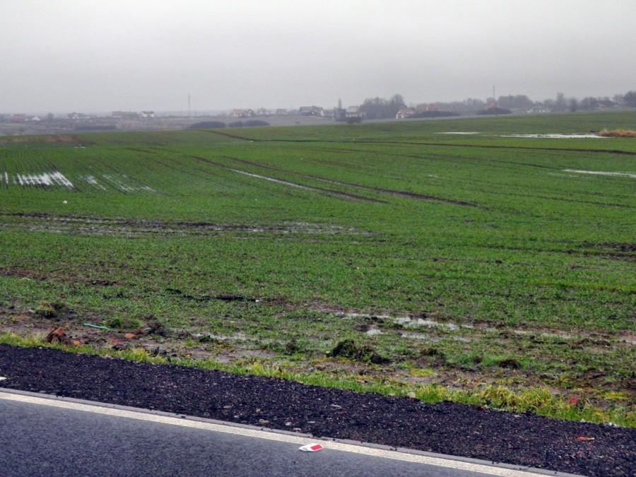 Widok z drogi Berzecze - Redlica 9 stycznia 13 r.