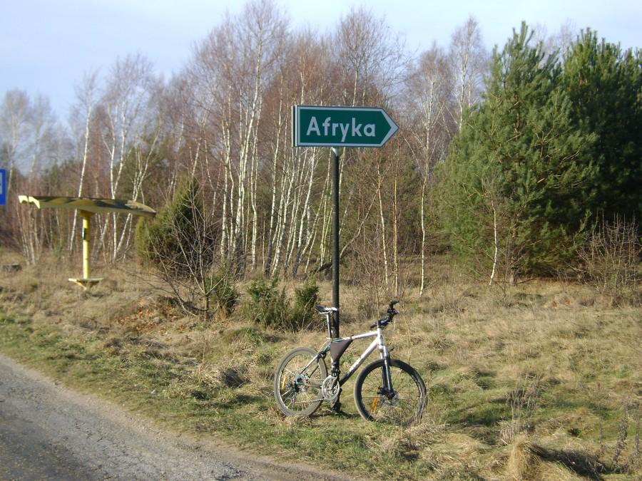 W Afryce