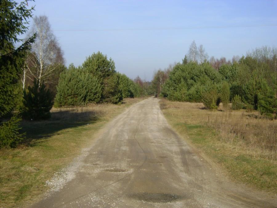 Afrykańskie bezdroża