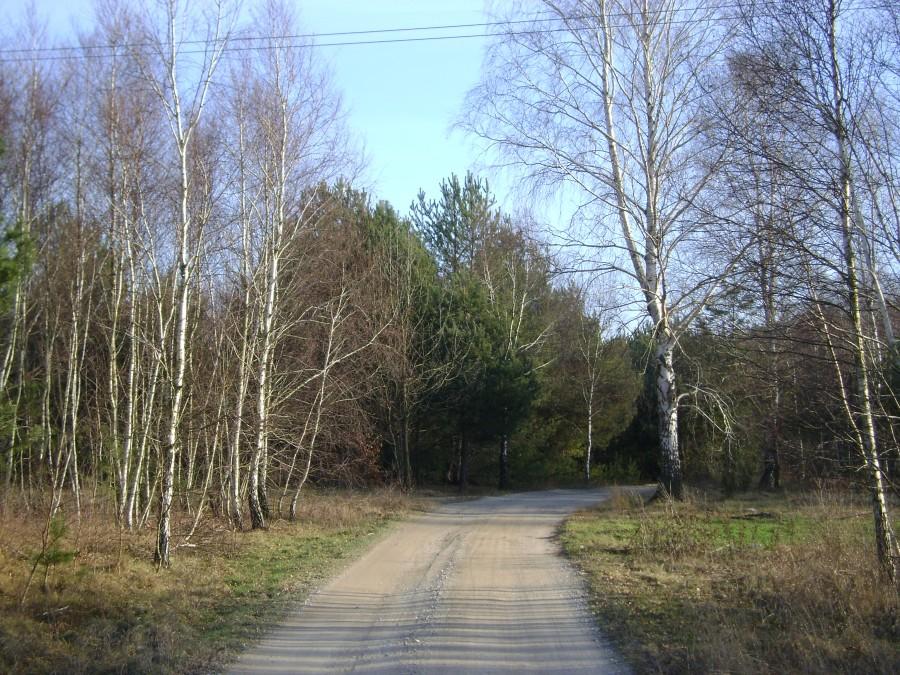 Afrykańskie bezdroża