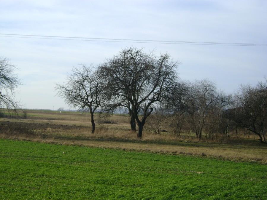 Afrykańskie krajobrazy