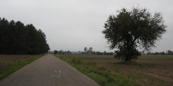 Droga w stronę wsi Czosnówka (od strony Dokudowa)