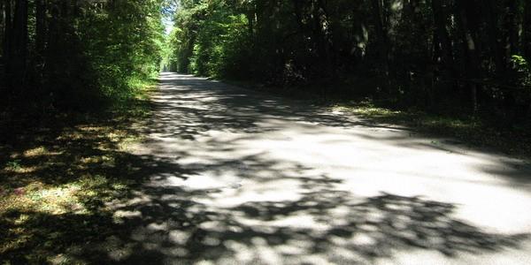 Trakt Gnojeński