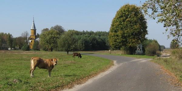 Wiejskie klimaty w okolicy kościoła w Horbowie