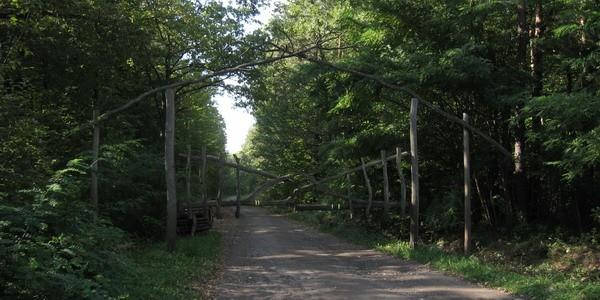 Leśniczówka Kłoda. Brama do lasu