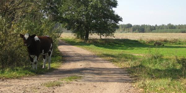 Sama przyszła