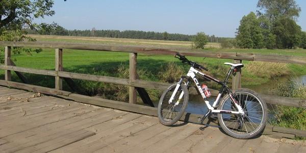 Mostek nad rzeką Zielawa w okolicy wsi Perkowice