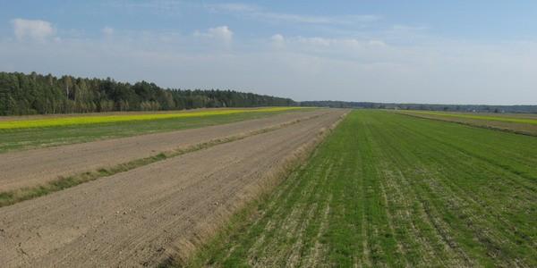 Widok z wiaty myśliwskiej