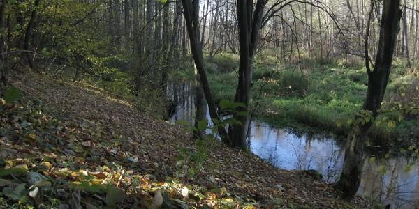 Jesień nad rzeką Rudka