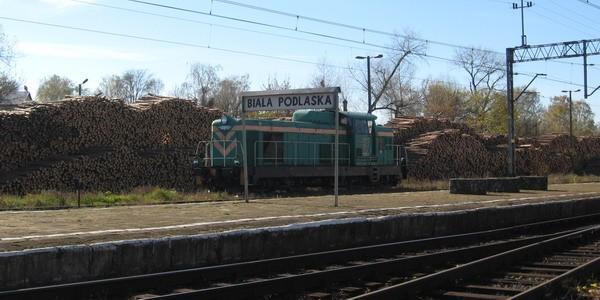 Przed dworcem kolejowym drewna więcej niż w lesie