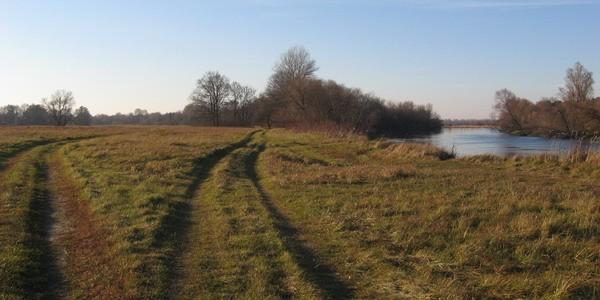 Łąki nad Bugiem