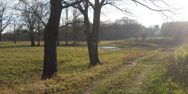 Tędy przebiega Nadbużański Szlak Rowerowy
