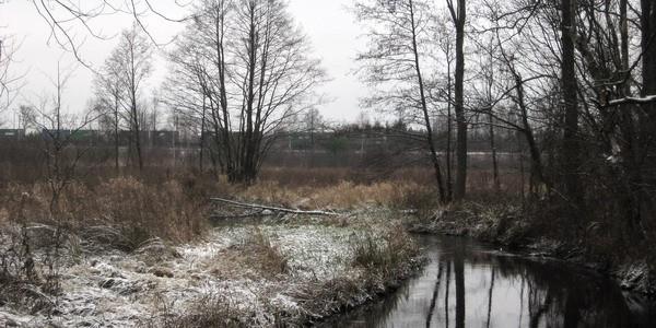 Pierwszy śnieg