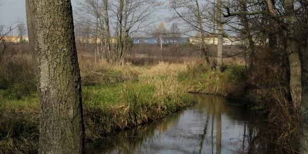 Widok z mostku na Rudce