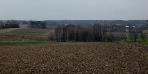 Podlaskie krajobrazy w okolicach wsi Stare Hołowczyce
