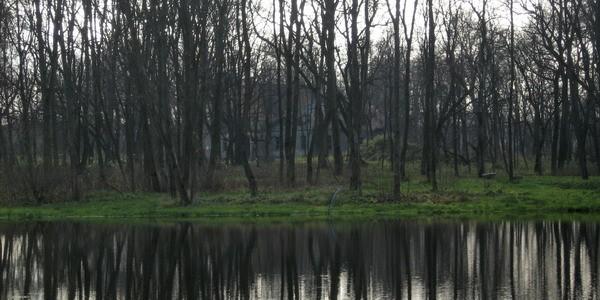 Dwór w Chotyczach